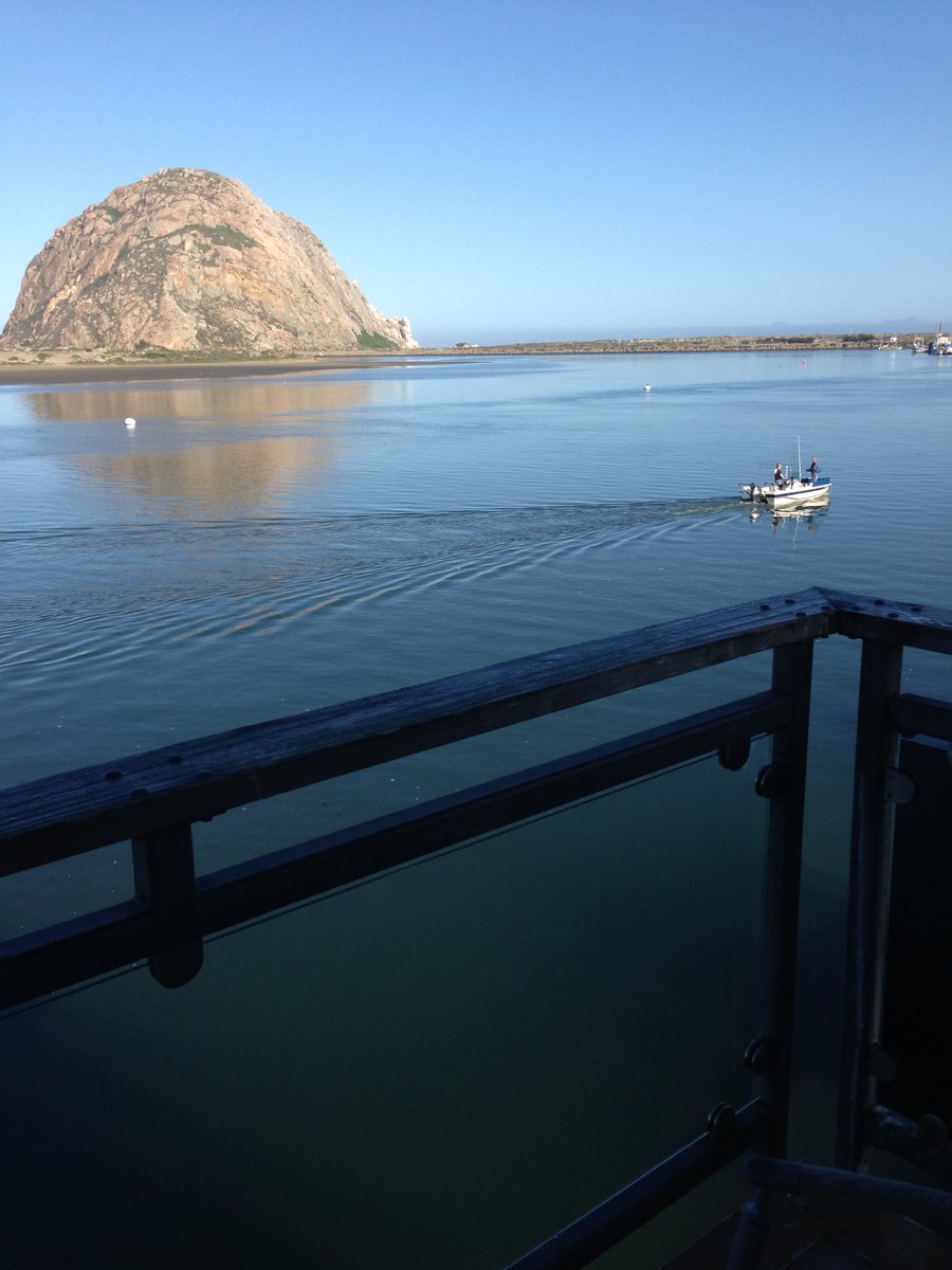 JuliaGrantham2's tweet image. Whenever you find yourself on the side of the majority, it is time to pause and reflect
-Mark Twain
#photo of #MorroBay by Julia Grantham