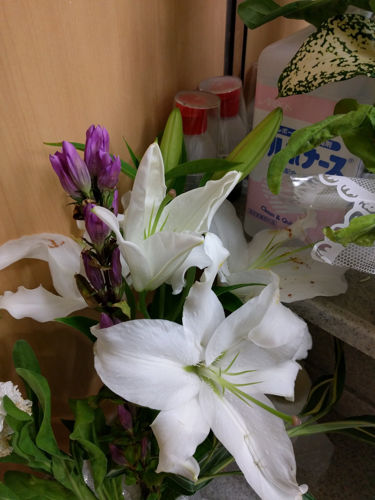 きむち公式 なんなのあのユリの花粉 指がくっついて離れないほどベトベトだし 石鹸使っても色は落ちないし 油使っても完全に色は消えないし 洗面台にも色がつくし 寮食の昼ごはん逃すし こんなのもう懲りた笑 ユリのおしべは花が開ききる前に取りま