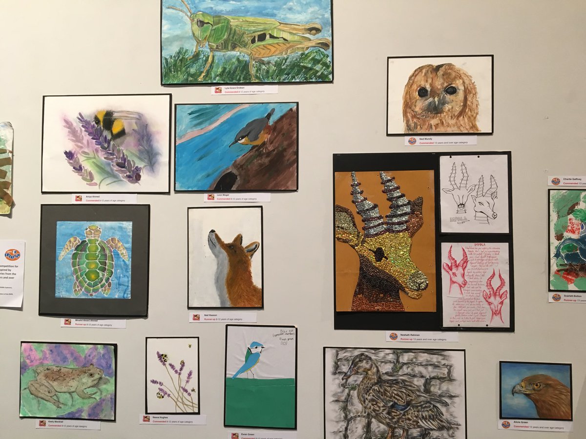 Tomorrow is the last day to see #SocietyOfWildlifeArtists <a href="/mallgalleries/">mallgalleries</a> including wonderful kids art <a href="/RSPB_Learning/">RSPB Learning</a>