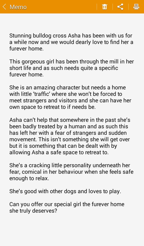 NWDogRescue's tweet photo. 🐾ASHA🐾Please RT #FFH  https://t.co/BFqCdv59zj
#FFH #giveadogahome❤ https://t.co/4XQkEHhQPO