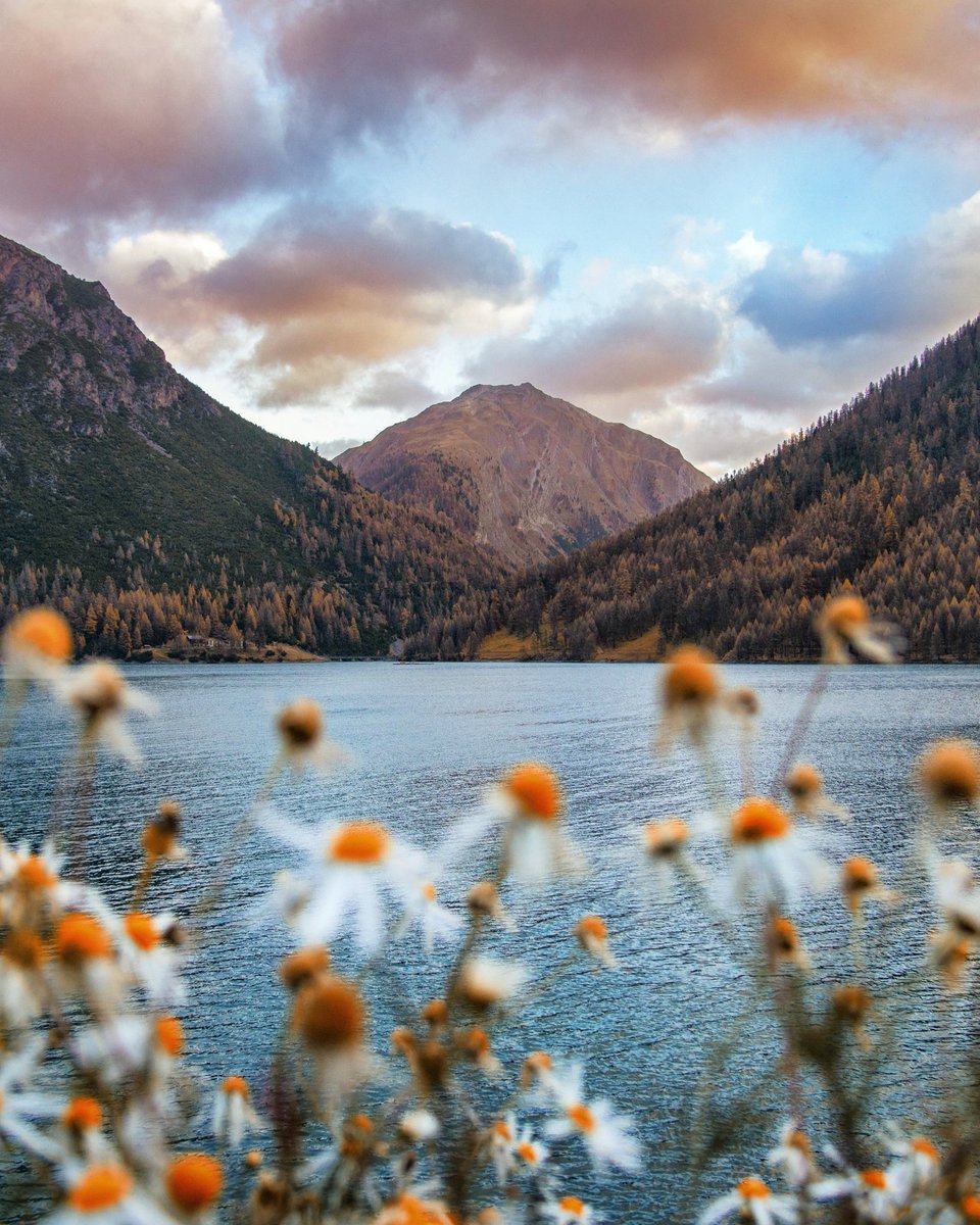 Alla scoperta della @Valtellinanews qui a <a href="/Livigno/">Livigno</a> con uno scorcio del suo lago 🙆‍♂️
#amolavaltellina #livigno #Valtellina