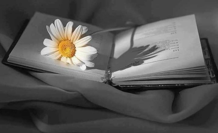 Her İnsanın İçinde Garip Bir Yol Hikayesi Vardır ..
"Başı "SABIR" Sonu "UMUT" . . !