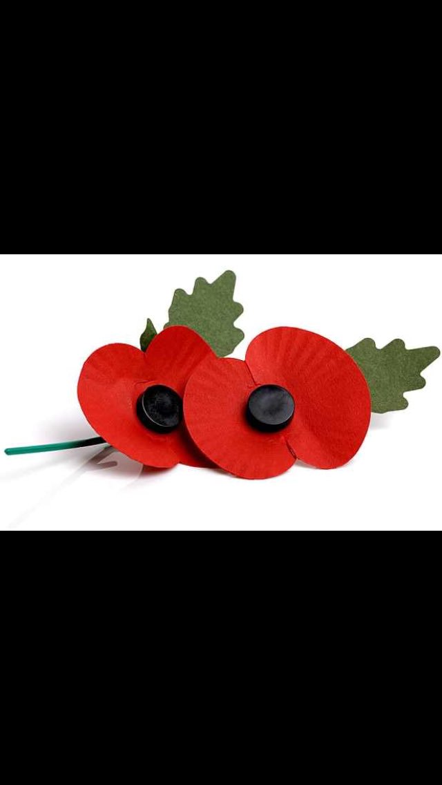 jonnelson1976's tweet image. Wear your #poppy with #pride @sainsburys #alnwick supporting @PoppyLegion #n04js