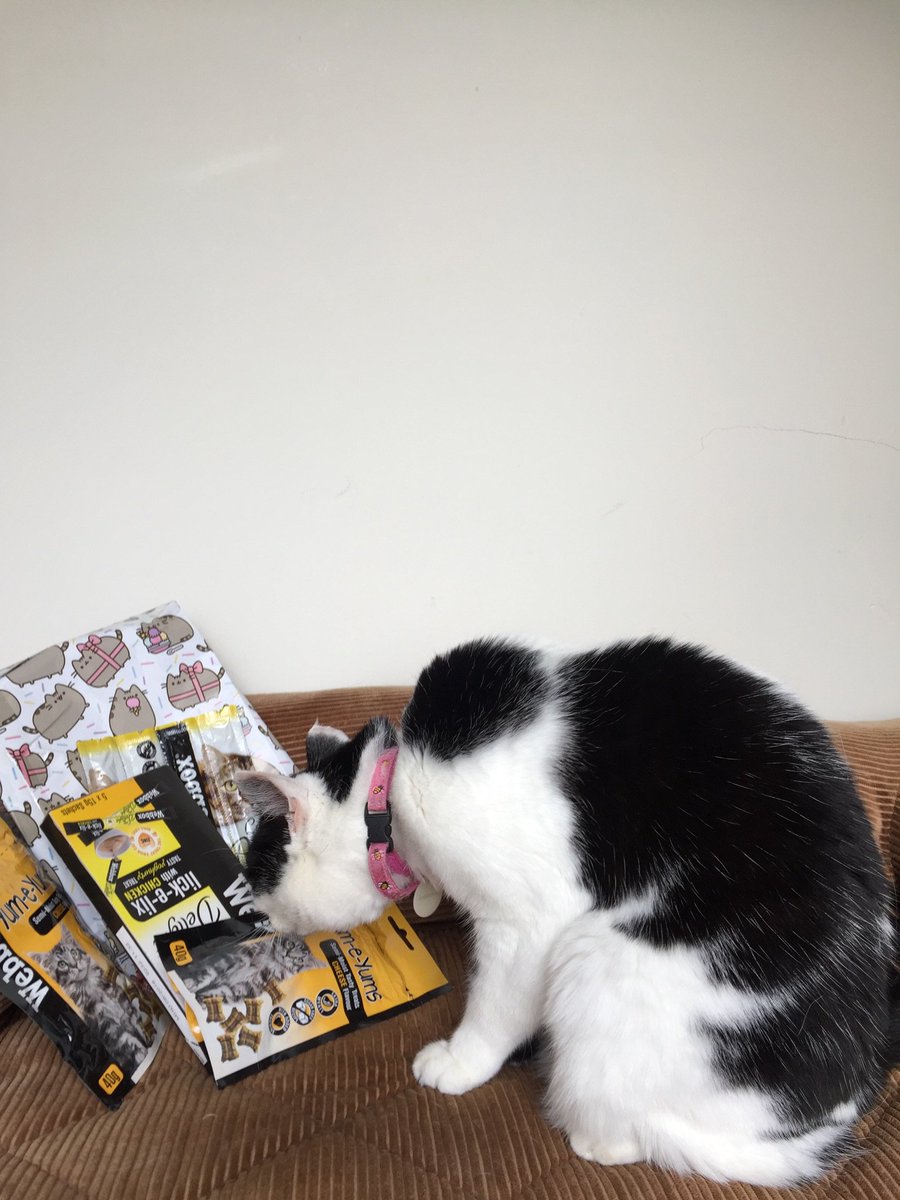 Having a great day. Do share some treats <a href="/555SMOKEY/">Smokey and Toby</a> I've plenty.