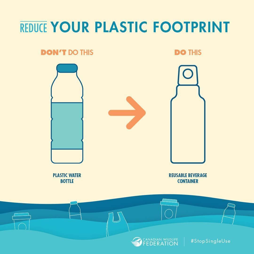 Ocean Generation on Twitter "Billions of plastic bottles are thrown