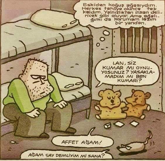 Masochistlar va sadistlar ishtirokidagi porno videolar Porno: Ular toyda kelinni sikishdi