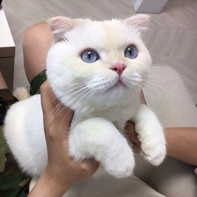godserjeonk's tweet photo. @defjeffsoul @im_nana Rawr https://t.co/yKRXAe9GnF