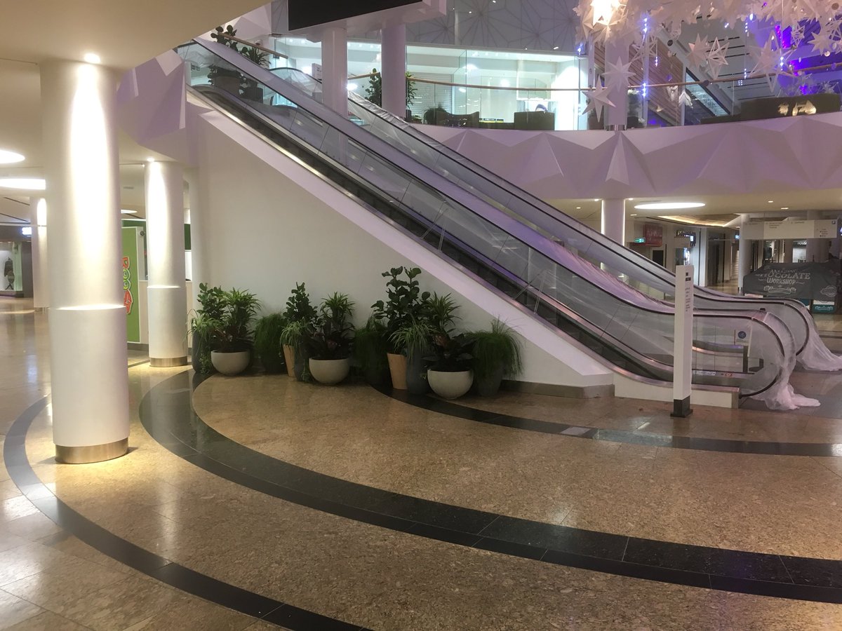 alistair1392's tweet photo. 370 individual plants and phone charger planters installed @LoveMeadowhall @UrbanPlanters #biophilia #plants https://t.co/KAoNT61Q7H