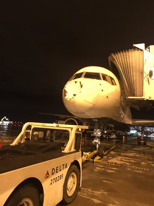 View image on Twitter