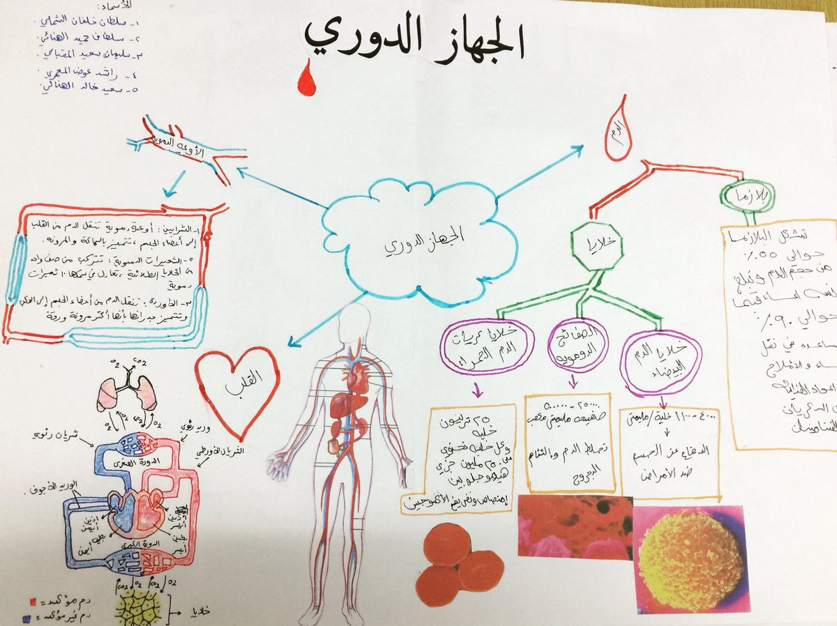 مدرسة المرتفع En Twitter إبداعات طلاب المرتفع في تصميم الخرائط الذهنية للجهاز الدوري عاشر ٢ عاشر ٣