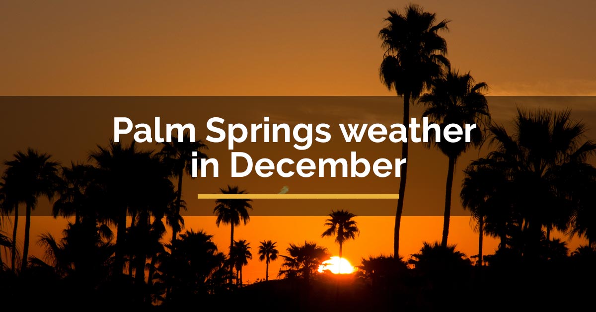 ForTravelTips1's tweet image. What Is The Palm Springs Weather in December? Let This Article Tell You!