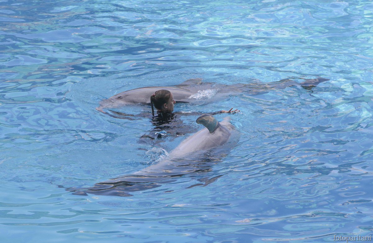 Da oggi a giovedì siamo aperti tutti i giorni! Cosa aspettate? Venite a trovarci a #Riccione <3