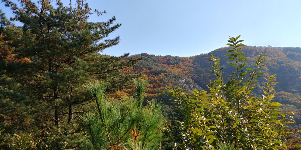 관악산둘레길돌다 찍은사진 가을이긴 하넹