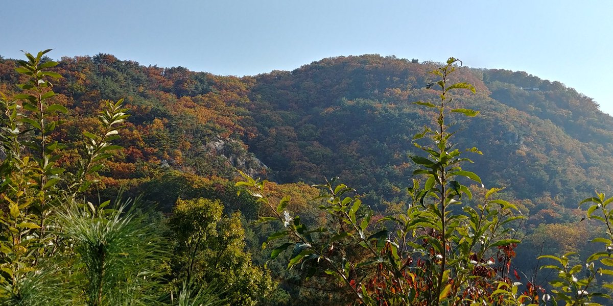 김선애 (@sunae0406) on Twitter photo 