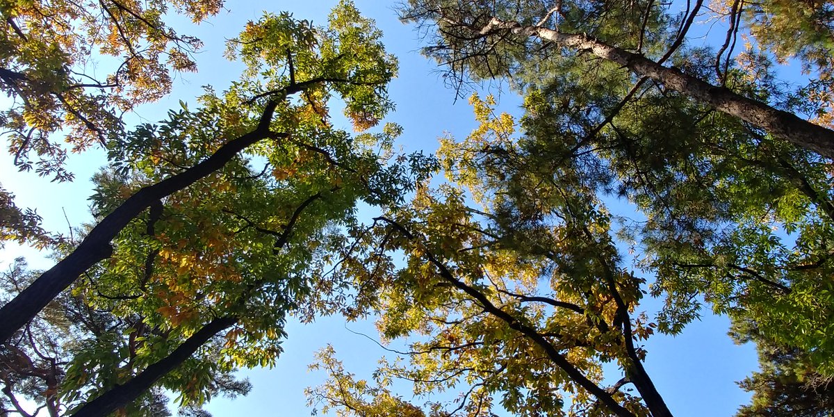 김선애 (@sunae0406) on Twitter photo 