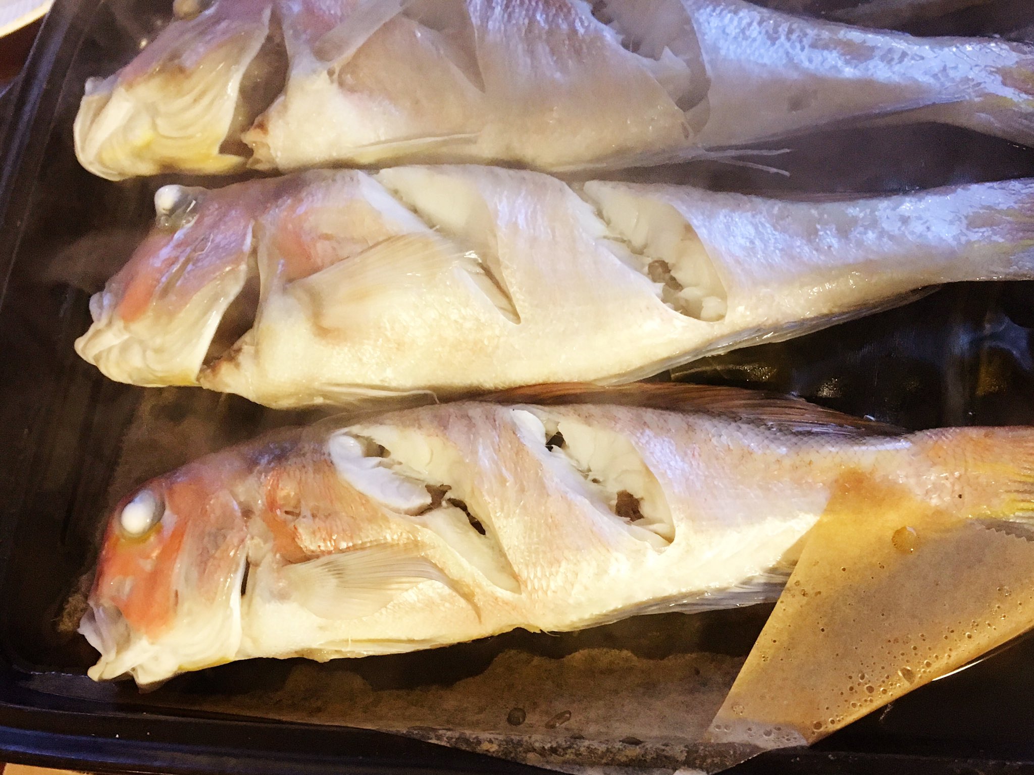 憂 駿河湾で釣れたアマダイの酒蒸しが尊い 野食会 T Co Kvgbtu8kw2 Twitter