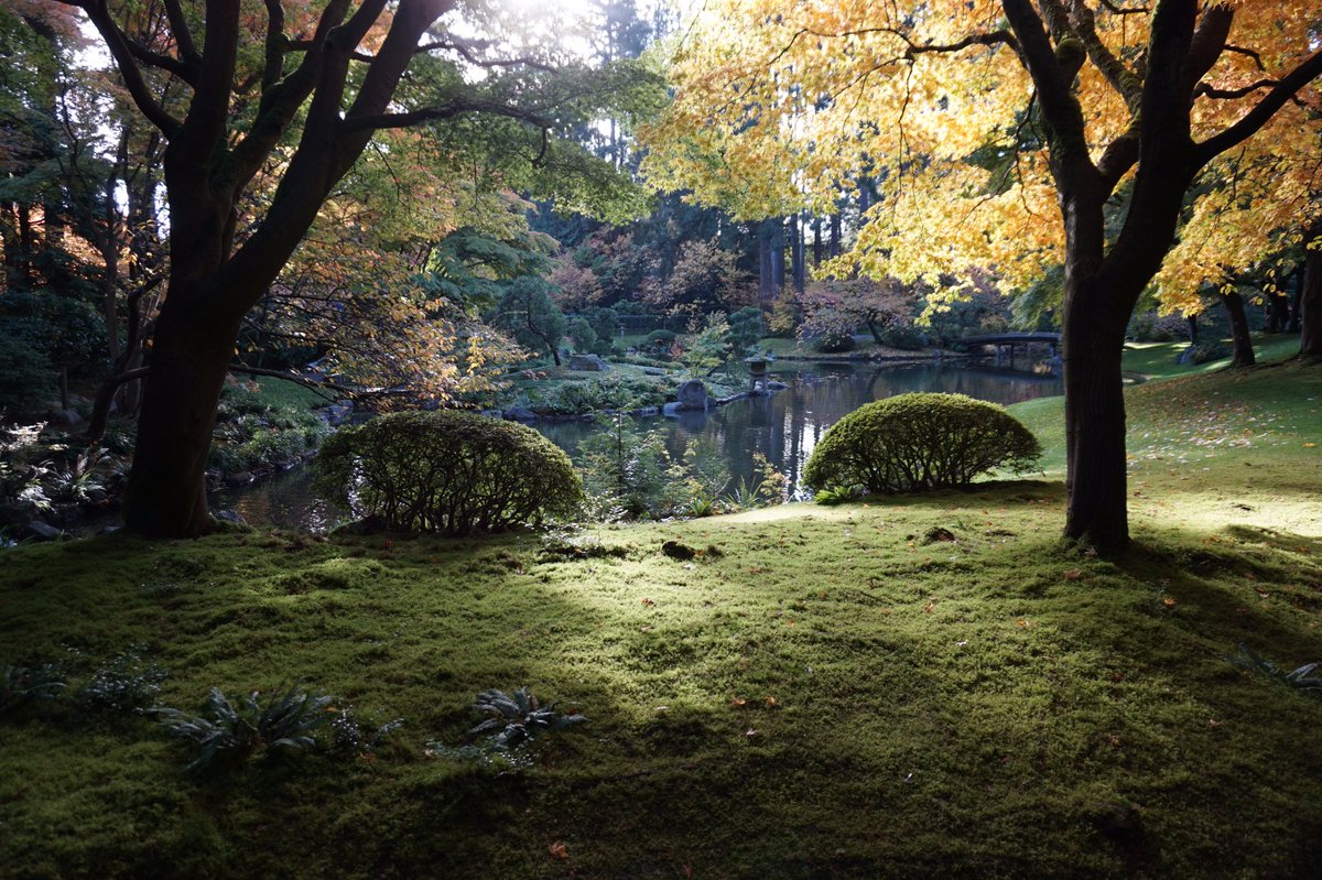 Eric_KawadaOT's tweet photo. #AzizaOT2017 #KawaMOT2017 Her river of life leads to endless possibilities and a beautiful garden https://t.co/aW5EMgXlsc