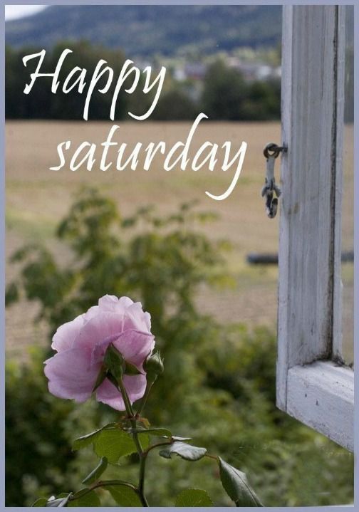 XIKarting's tweet photo. 🌸🌸🌸🌸🌸 https://t.co/paGX1CbUMB