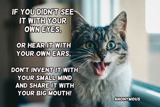 Dan Hughes tweet media