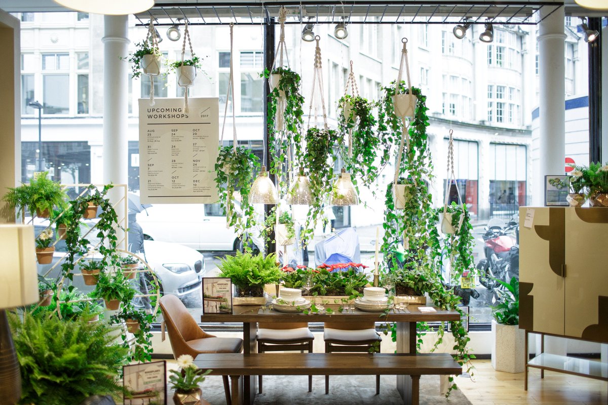 Tomorrow is your chance to get a free plant when you buy any planter or terrarium from @westelmuk Tottenham Court. bit.ly/TCsTJOP