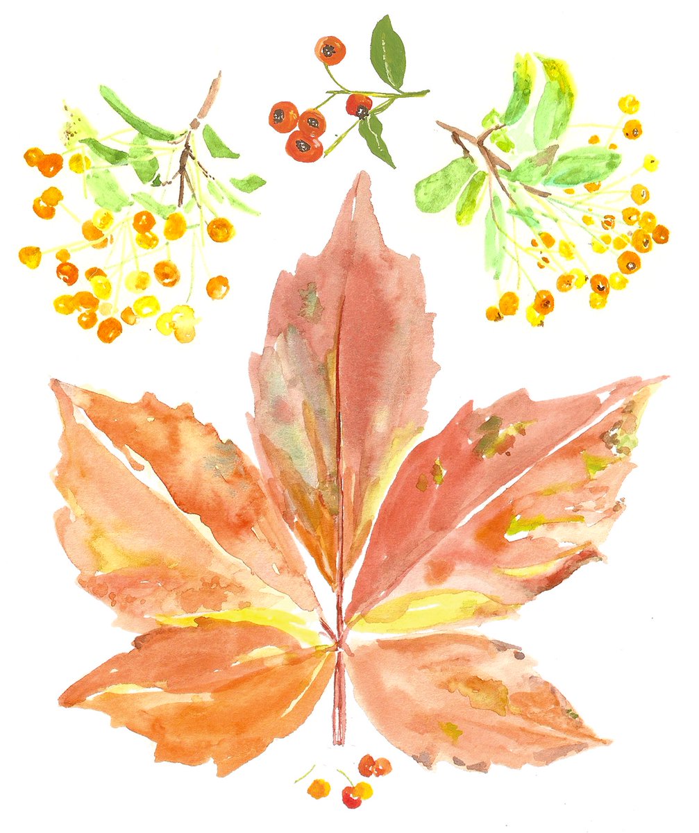 SusieFosterArt's tweet photo. .@LondonNPC I'll be #walking and #drawing #leafylondon!#londontrees #autumn #deepsaffron #colour_collective #illo #nature #hampsteadheath https://t.co/1xL1pi1GJd