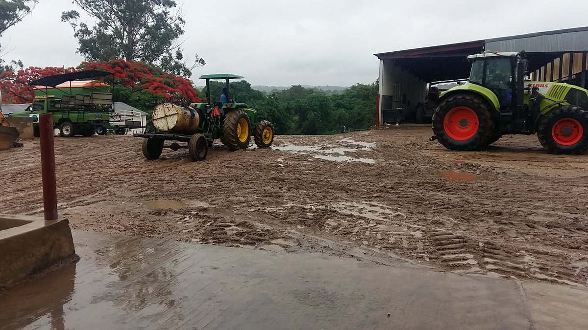 100 ha of wheat to go, seems like wet harvests are following me this year, 30mm of rain so far today