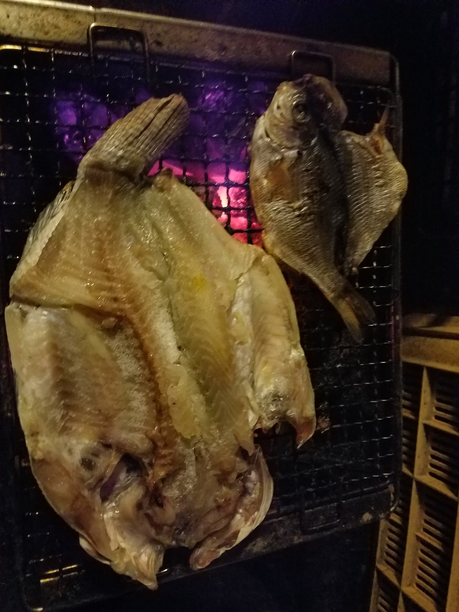 Songbird 干物 ティラピアとウミタナゴ 野食会 T Co F377dkezqp Twitter