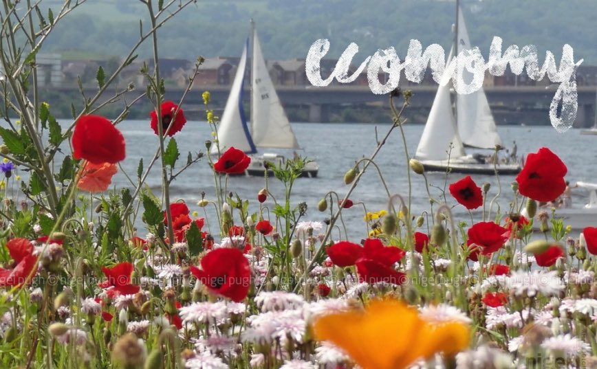 nspugh's tweet image. A New Local Economy 'This is not about singular institutions, silos. It's about networks &amp;amp; system change' @nmcinroy nigelpugh.co.uk/-/galleries/bl…