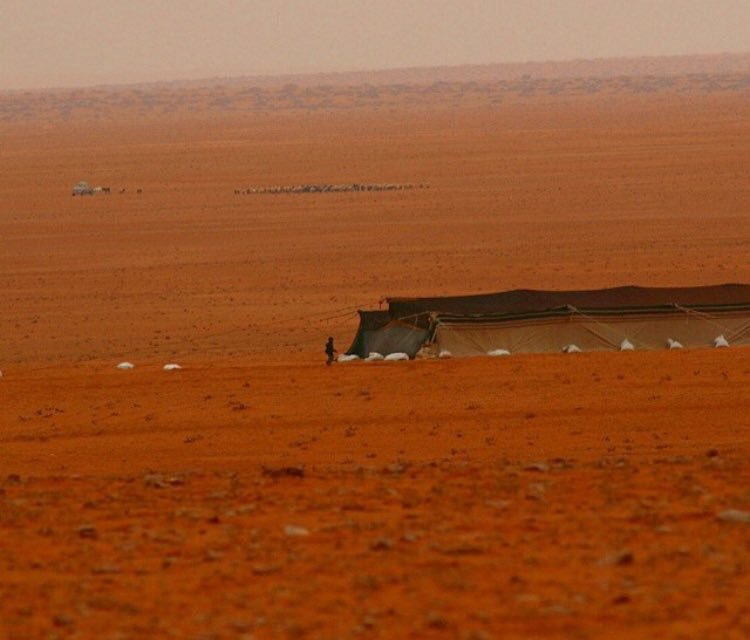جنبوني عن طواريه لاهب النسيم
واسترو خافي علومي ولاتبدونها
