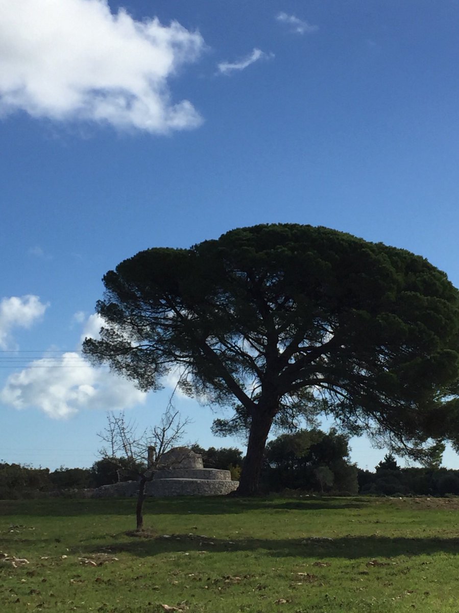 gigi4kili's tweet photo. Costruzione rurale e gigante a guardia 🙂
Carovigno (Br) #WeAreInPuglia https://t.co/tlSyLsNr2H