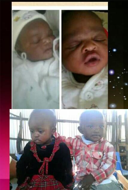 DNdubiz's tweet image. 