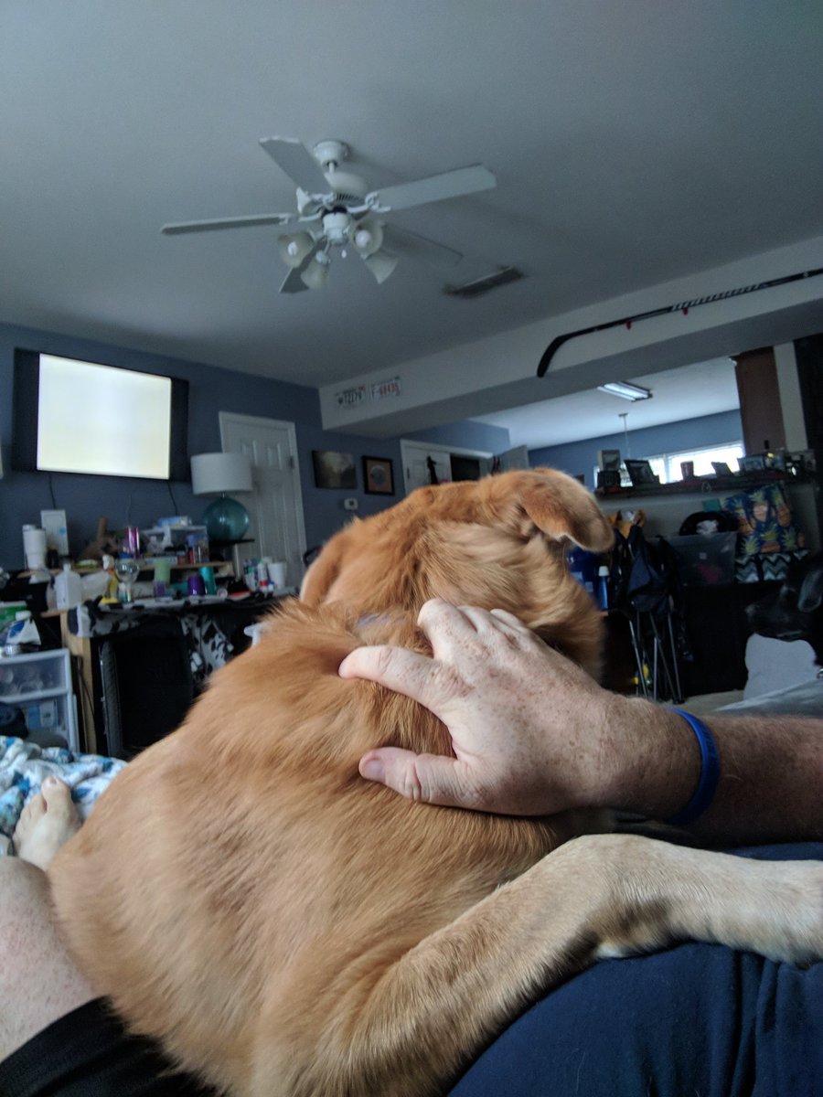 BigBenPreds's tweet image. Saturday morning with puppies and GI Joe cartoons.  I'm an adult I promise