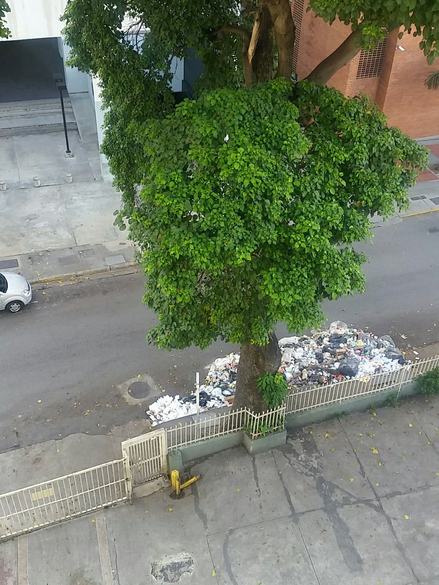 1000estilos's tweet photo. @El_Noticiero todas las calles del municipio libertador lucen llenas de basura, foto de la calle negrin con Av. Solana en sábana grabde https://t.co/J7JcS8PWqa