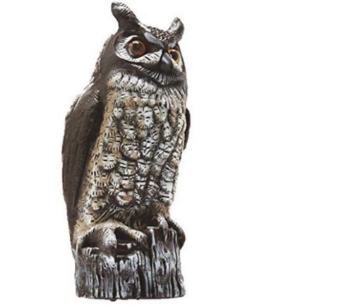 LH_Market's tweet photo. Natural Enemy Scarecrow Great Horned Owl Protect Gardens  patio Decor 16 In  https://t.co/qzdGgkBEPe

#home #decoration #garden #protection https://t.co/ISJWCKUFaj