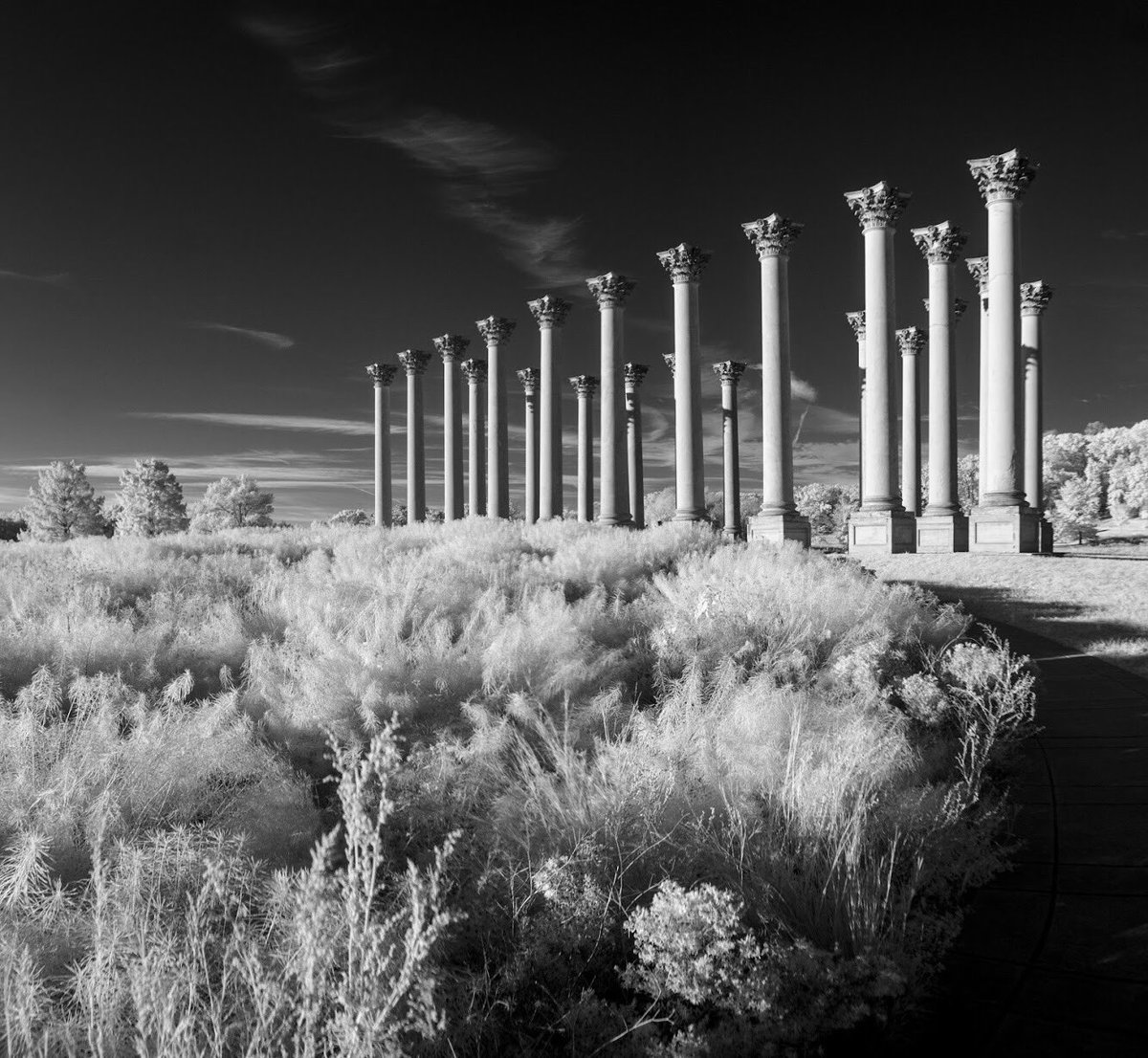 InfraredDC's tweet image. Nothing Quite Like Early Morning Light #lifepixel #teamcanon  #canonfavepic #infraredphotography #infrared #ir #acreativedc #igdc #exposeddc
