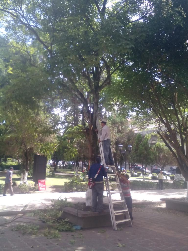 RamonGuevaraMRD's tweet photo. #28Oct Continuamos la recuperación de la Plaza Bolivar de #Merida el trabajo en equipo es la fortaleza del Cambio https://t.co/PsWrv3fLY4