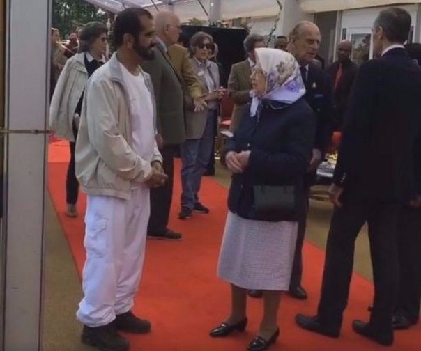 DNOE5MsW4AEHCTB.jpg:small