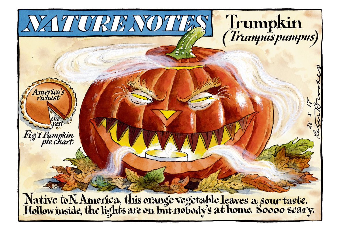 BrookesTimes's tweet photo. My cartoon Saturday @TheTimes on a real #Halloween frightener....Nature Notes: Trumpkin (Trumpus pumpus) #Trump https://t.co/pTBSnolHBr