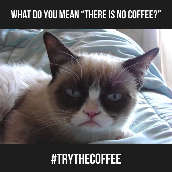 MyKinesisMoney's tweet photo. Are you f**** serious???
#TrytheCoffee #FreeCoffeeSamples #FreeShipping #USA πΊπΈ
π https://t.co/VuBLHwQVT2 https://t.co/375QAUyoud