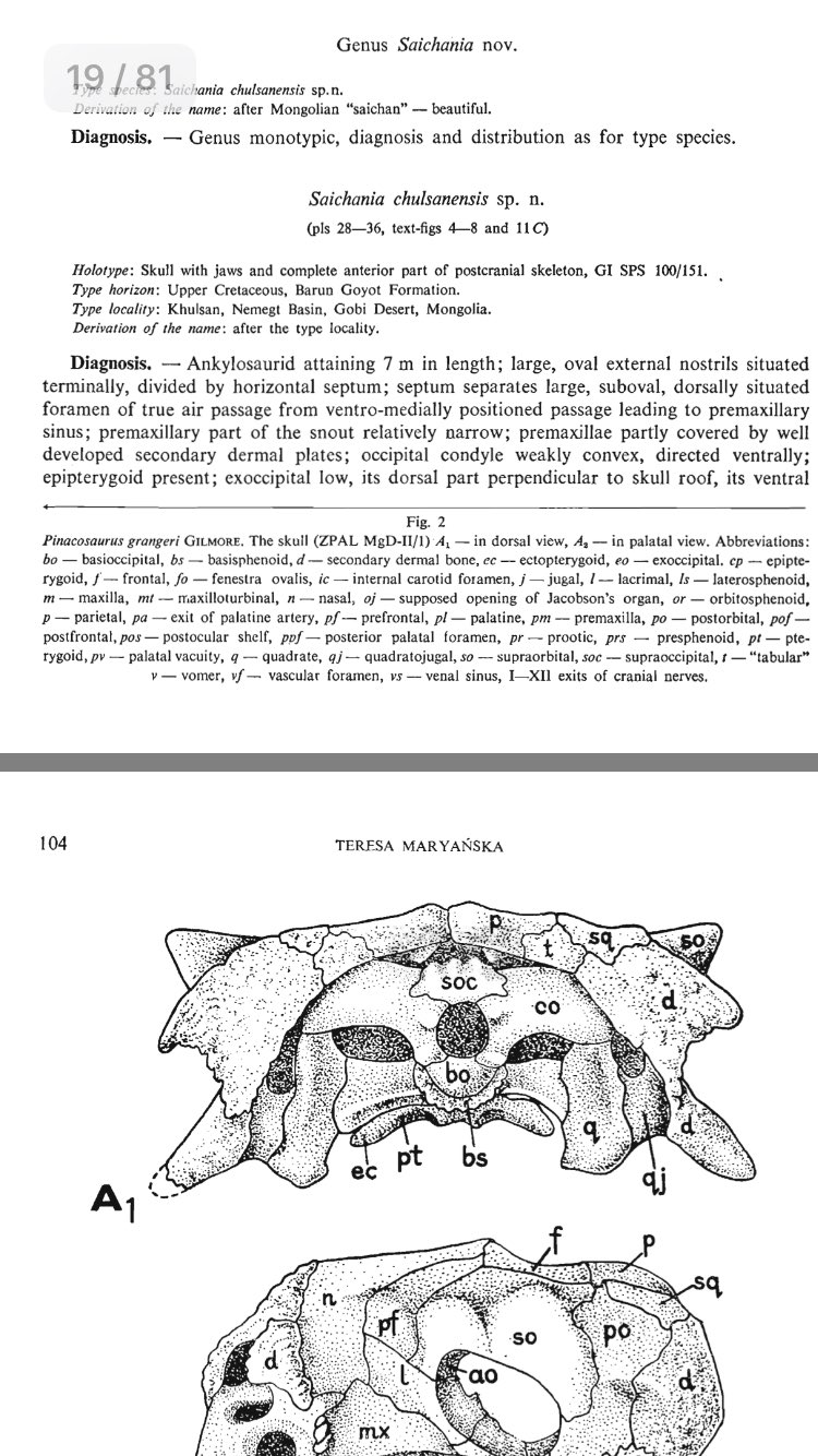 ヒロくん 恐竜のお兄さん On Twitter 1977年のサイカニアとタルキアの記載論文 Https T Co Qfqixec6dm