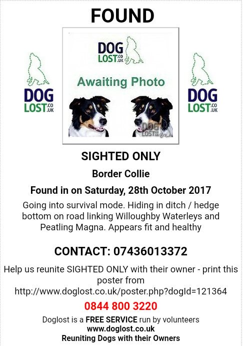lisaphipps15's tweet photo. SIGHTED ONLY Border Collie  #willoughby  Waterleys #Peatling Magna #LE8 @DoglostUK 
https://t.co/Om4b8gfKgX https://t.co/wLJpO6w8t6