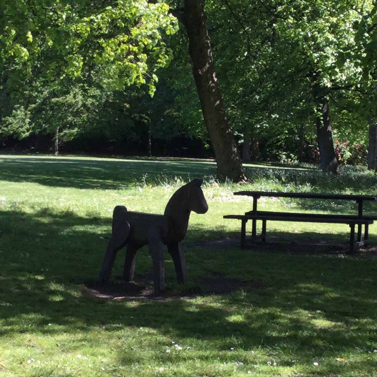 JoyceWilliams_'s tweet photo. #KneeExercise #Fitnessat80+
The answer? Go for #MagicWalks
Always something strange to find!
https://t.co/Mtn69b4zYn #Glasgow #GlasgowLife https://t.co/dtQgfBYzXq