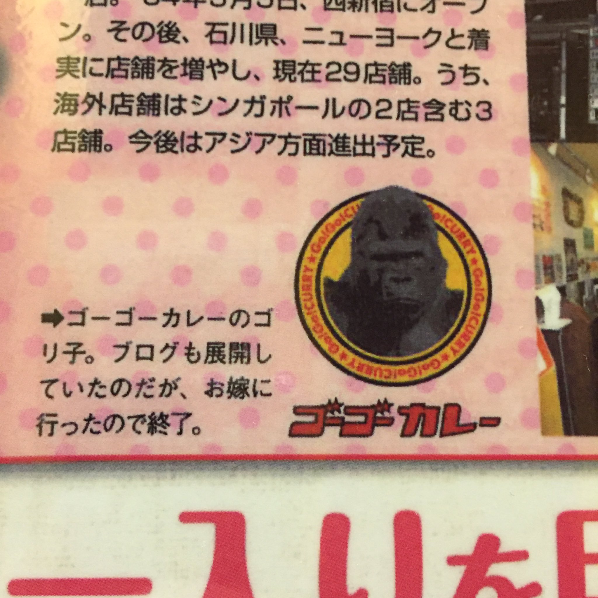 ゴーゴーカレーのトレードマークのゴリラの真実が驚き 実はメスで既婚者 話題の画像プラス