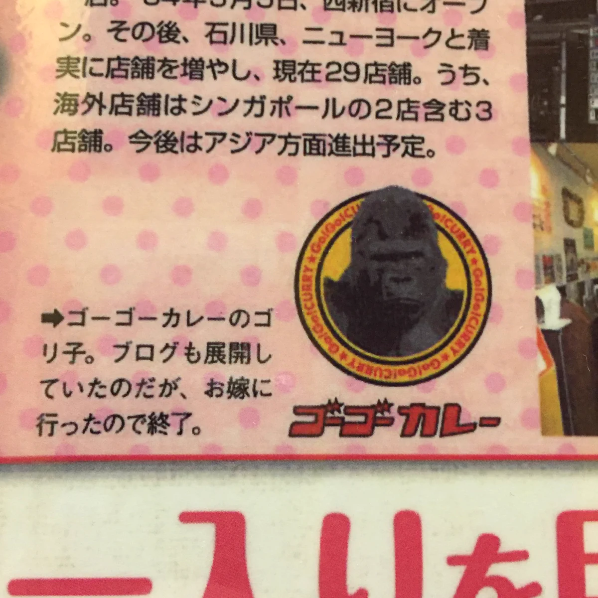 ゴーゴーカレーのトレードマークのゴリラの真実が驚きｗｗｗ実はメスで既婚者ｗｗｗ