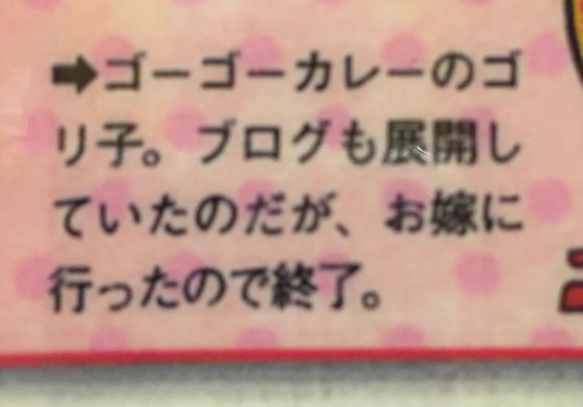 ゴーゴーカレーのトレードマークのゴリラの真実が驚きｗｗｗ実はメスで既婚者ｗｗｗ