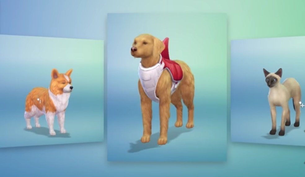 _Sims_4_love's tweet photo. #sims4 #simmer #simsfamily #sims #hund #katze #thesims4 #thesims4 https://t.co/w6V0c5jIZQ