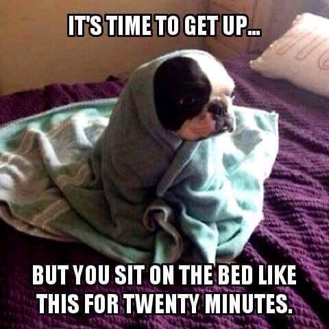 KristenTurzak's tweet photo. #weekendtruth #truth https://t.co/DDYX74WmgM