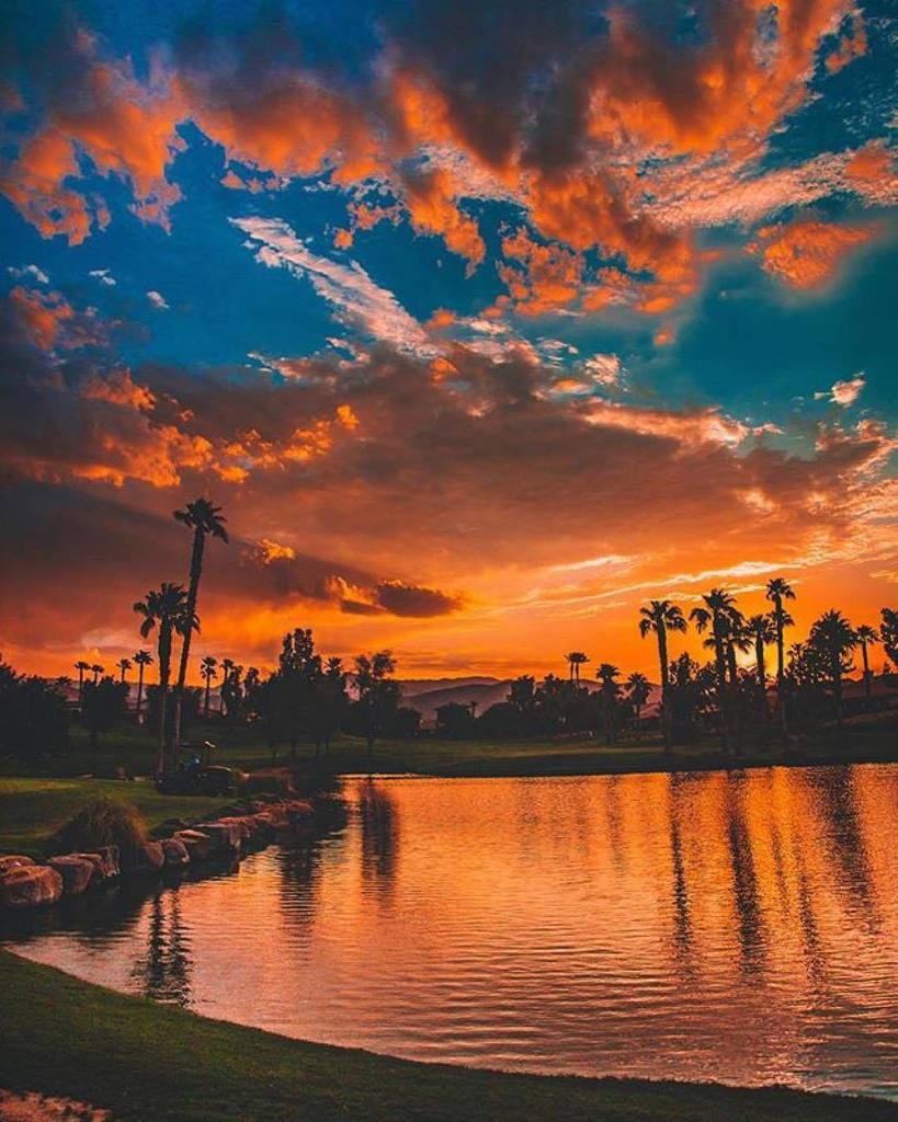 edaccessible's tweet photo. Photo by Sean McGee @natgeophotos ・・・
Another beautiful day in paradise in the Coachella Valley .
#love #TagsForLi… https://t.co/Rh22245qgm https://t.co/Mp4GwECA0T