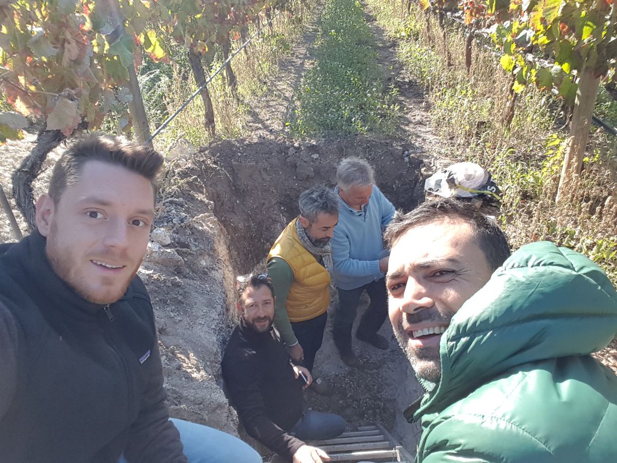 Giuseppe1979D's tweet photo. Incontro tecnico al #feudobutera #sicily per studiare i profili dei #suoli e migliorarne la vitalità @zonin1821 @Giacomomanzoni https://t.co/SNuw9XaAxd
