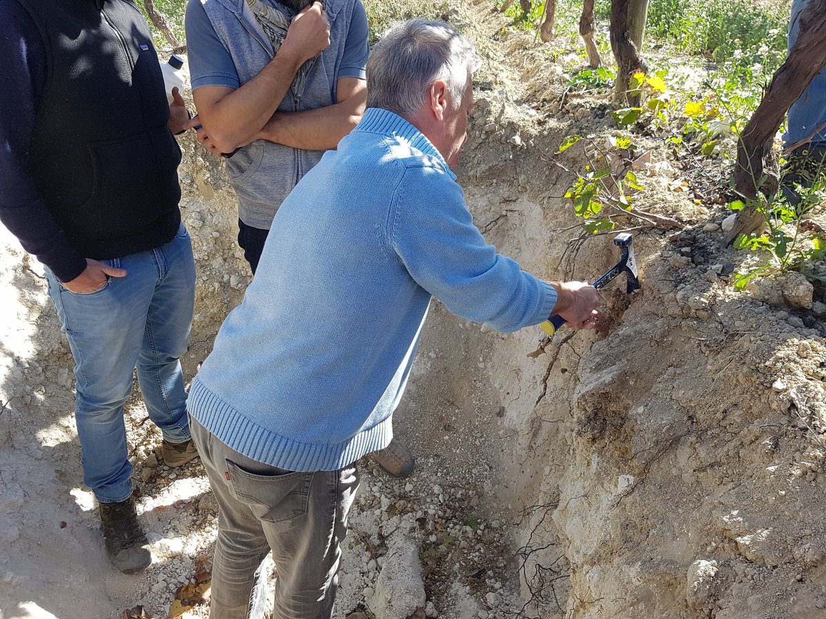 Giuseppe1979D's tweet photo. Incontro tecnico al #feudobutera #sicily per studiare i profili dei #suoli e migliorarne la vitalità @zonin1821 @Giacomomanzoni https://t.co/SNuw9XaAxd
